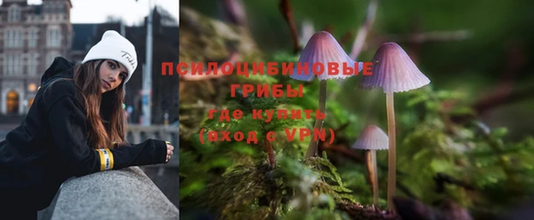 Альфа ПВП Медвежьегорск