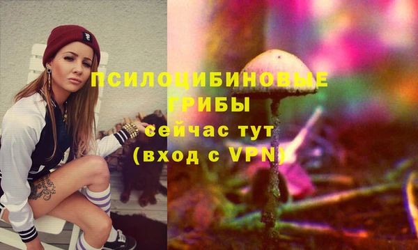 Альфа ПВП Медвежьегорск